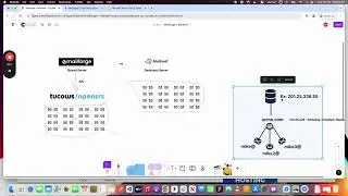Mailforge vs Mailreef - Shared vs Dedicated Servers For Cold Email