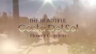 Casta Del Sol flower garden video tour March 2019