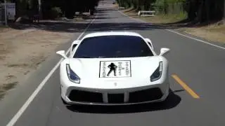 excalibur Models and Talent Mount Olive NC Promo