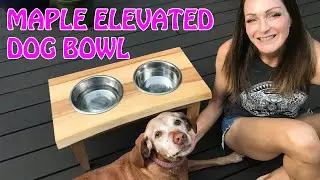 ELEVATED DOG BOWL STAND | Woodworkers Fighting Cancer Build 2019
