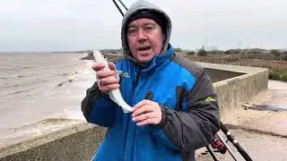 Stally wall #fishing #fish #seafishing #whiting #adventure 