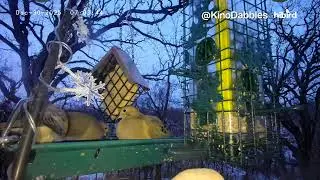 6+ Hours of Relaxing Bird Cam on a Balcony | Winter (Book II: Chapter 2)