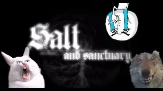 Salt & Sanctuary ( part 1) Начинаем кооп прохождение