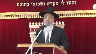 חולה בשבת חלק א | הלכות שבת | הרב יורם סרי