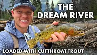 Opening Day on the Dream River! - Colorado River Cutthroat in Utah - Native Trout Fly Fishing