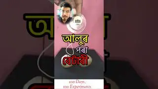 exp 8/100 days 100 experiments/Potato Battery/How to get electricity from potato