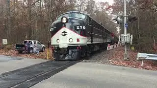 [Remastered] F-Unit Fall Foliage Excursions of 2020