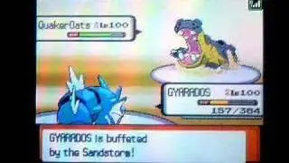 Pokemon D/P WiFi Match #24: Vs. Xain