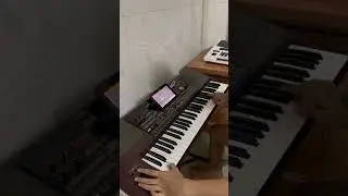 #cover #music #korgpa #musicgenre #piano #stylekorg #covermusic #cover #voiceeffects #shorts