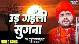 #VIDEO - उड़ गइल सुगना || Santosh Yadav Madhur - Suparhit Bhojpuri NonStop Jogi Geet 2024