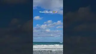 📍MIAMI⛱️🌞🌴Join us for more daily shorts 🌍✈️#shortvideo #shorts #miami