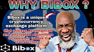 Bibox Review: For Beginners (what exchange is right for you) Bibox exchange