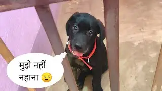 RIO NAHANE SE DAR RAHA 😆