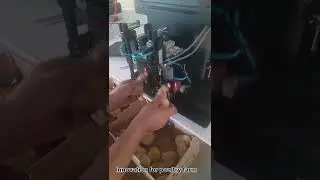 New innovation for poultry farms!This hanging vaccination machine is designed  for chicken chicks