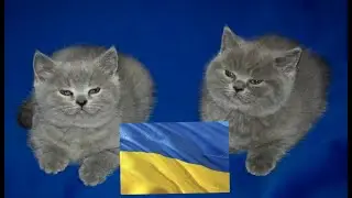 Томас и Уильям но они стали украинцами
