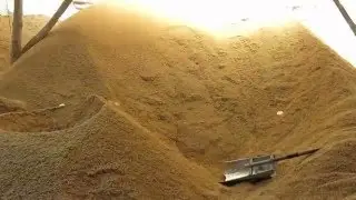 rice husk piles for brick baking fuel