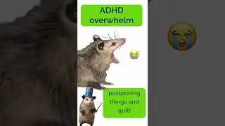 ADHD overwhelm explained by opposum #adhd #adhdoverwhelm #funny #shorts #opossum #adhdawareness