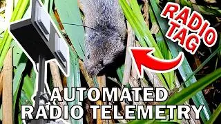 Fully Automated Wildlife Radio Telemetry