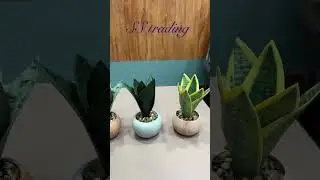 SS TRADING 9995226800