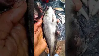 Bazaar mein #fish