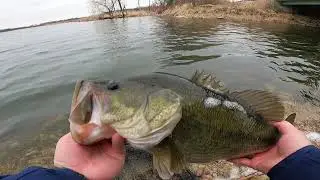 Big Bass Fishing Madison Wisconsin 