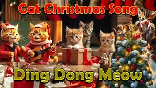 CAT CHRISTMAS SONG: 