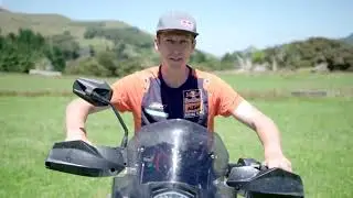 15 Вилли