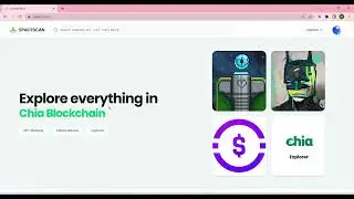 How to Claim & Personalize Chia DID profile in Spacescan?