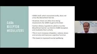 The GABAergic Shunt Explained
