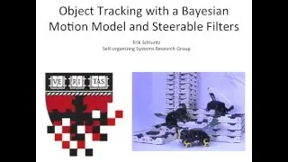 Insect Tracking with Computer Vision