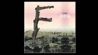 How Come You Never Go There by Feist | Interscope