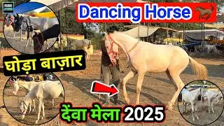 नाचने वालीं घोड़ी😱  यहां मिलेंगी घोड़ा बाजार 🐎🎠 देवा मेला 2025 #trending #ghodabazaar #dewamela2025