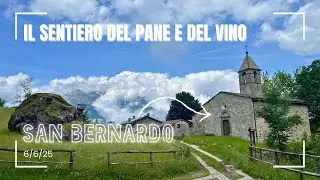 🎥 Sentiero del Pane e del Vino | Faedo Valtellino - San Bernardo: 750m D+ di Bellezza Assoluta! 🍞🍷