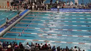 Emma Stephenson Breaks 50 Free State Record | Girls 50 Free A Final | 2019 UIL 6A State