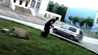 Maksim Vazemiller - DO WHAT ONE LIKES.