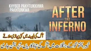 Massive Wildfires in Khyber Pakhtunkhwa Forests| Pakistan Forest Fire Update 2025