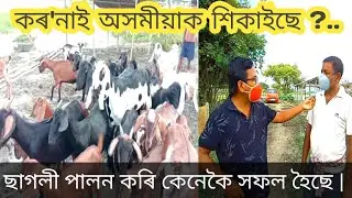 কৰ'ণাই অসমীয়াক শিকাইছেনে ? ছাগলী পালন কৰি কেনেকৈ সফল হৈছে?  goat farm in Assam | goat farming assam