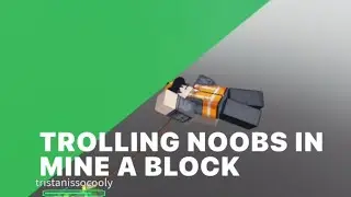 TROLLING NOOBS IN MINE A BLOCK
