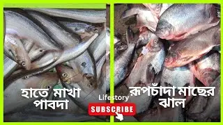 Indian Fish Curry Recipe with Pabda and Rupchada | হাতে মেখে পাবদা ও রূপচাঁদা মাছের ঝাল রেসিপি |