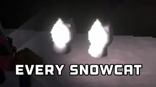 EVERY SNOWCAT IN EASY DELIVERY CO
