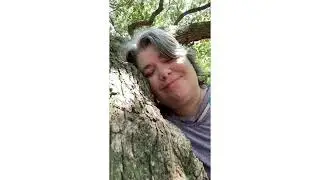 Angel Tree in South Carolina |  Solo Female Traveler