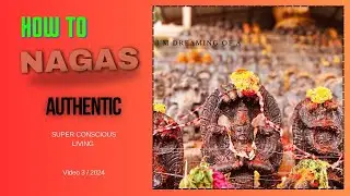 Learn how to pay respect to Naga Snake God: Bangalore Temple