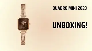 DW QUADRO MINI AMBER - DW00100649