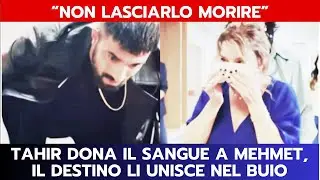 IO SONO FARAH ANTICIPAZIONI: TAHIR DONA IL SANGUE A MEHMET, IL DESTINO LI UNISCE NEL BUIO