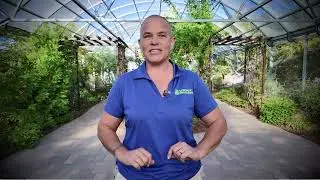 Butterfly Habitat Fall 2024