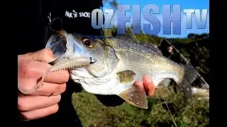 Oz Fish TV Season 2 Episode 8 - Rainbow trout and Estuary Perch Landbased Action