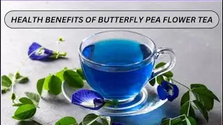 HEALTH BENEFITS OF BUTTERFLY PEA FLOWER TEA| #letsgogreen |@NATURESMAGIC-LetsGoGreen-bv5mi