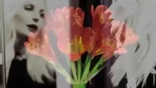 JENNIE VEE - Lips Like Sugar