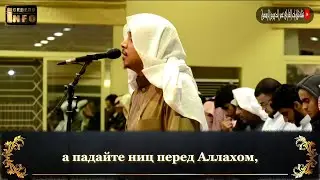 Сура Фуссылат (30 43) - Омар Аль Дарвиз