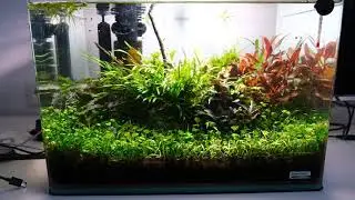 Dennerle Scapers Tank 35l